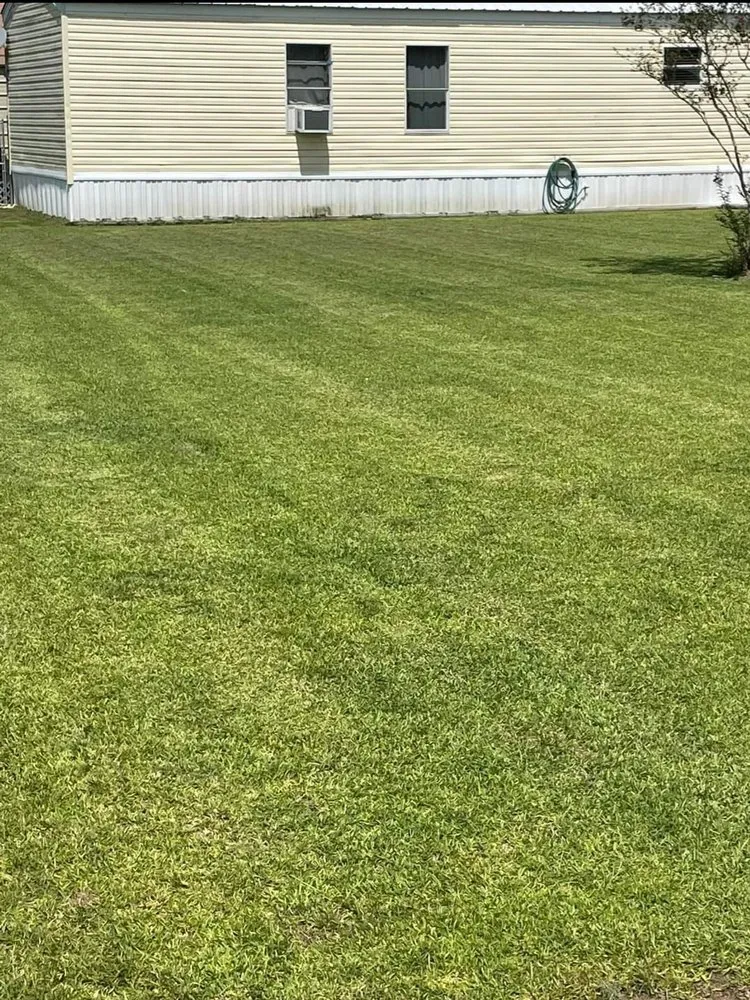 Expert yard maintenance in Iowa, LA by Yard Works