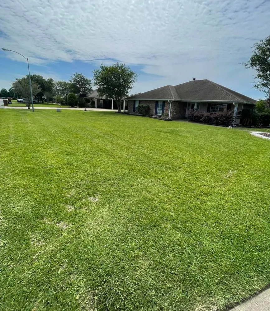 Custom landscape design experts serving Iowa, LA - Yard Works