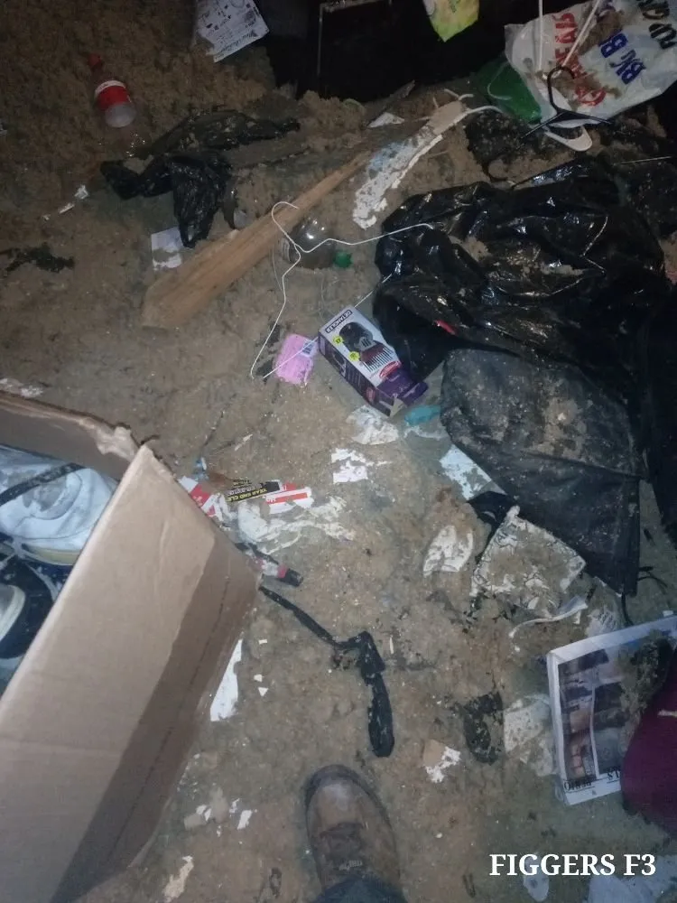 Top-rated yard cleanup service in Jonesboro, GA - Yard Works