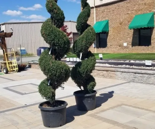 Affordable garden landscaping in Cornelius, NC by Yard Works Landscaping & Irrigation