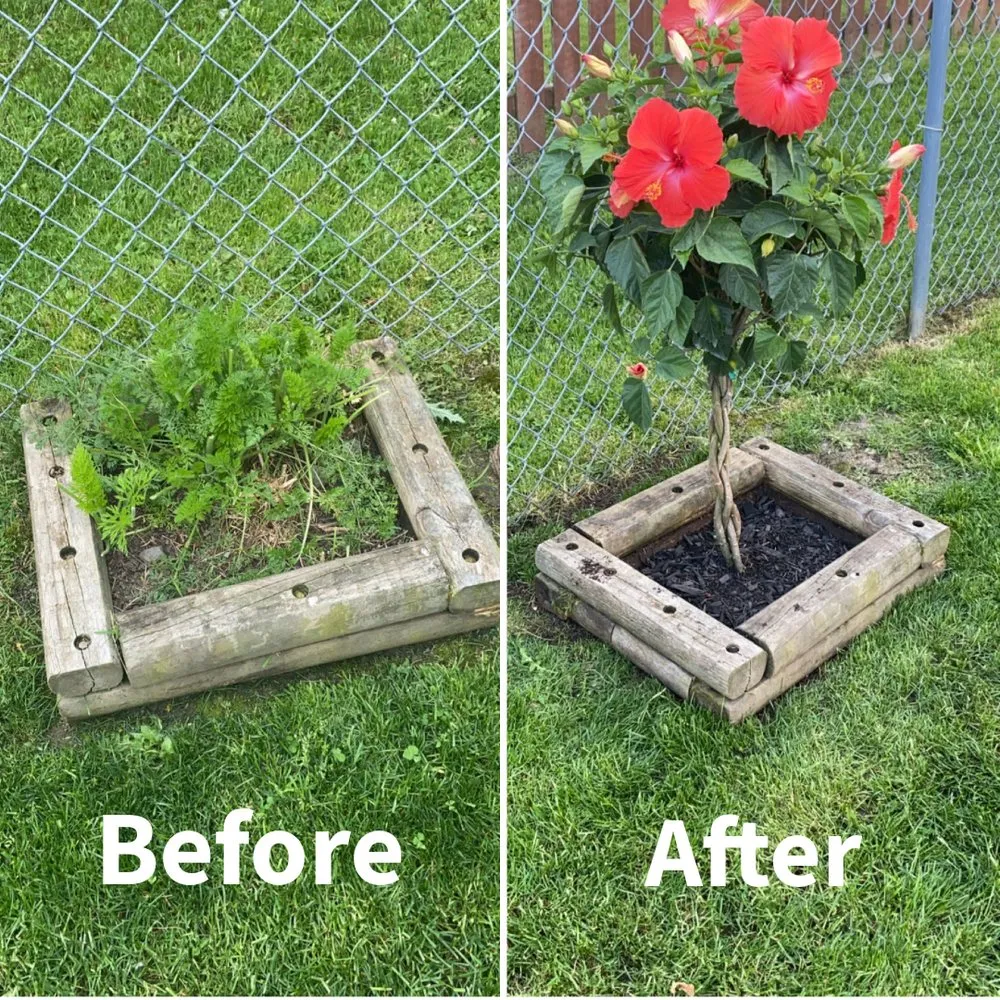 Trusted yard cleanup service for year-round maintenance across Buffalo, NY - Yard Works Lawncare & Landscaping