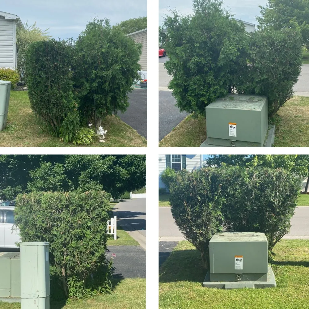 Expert garden landscaping in Buffalo, NY - Yard Works Lawncare & Landscaping