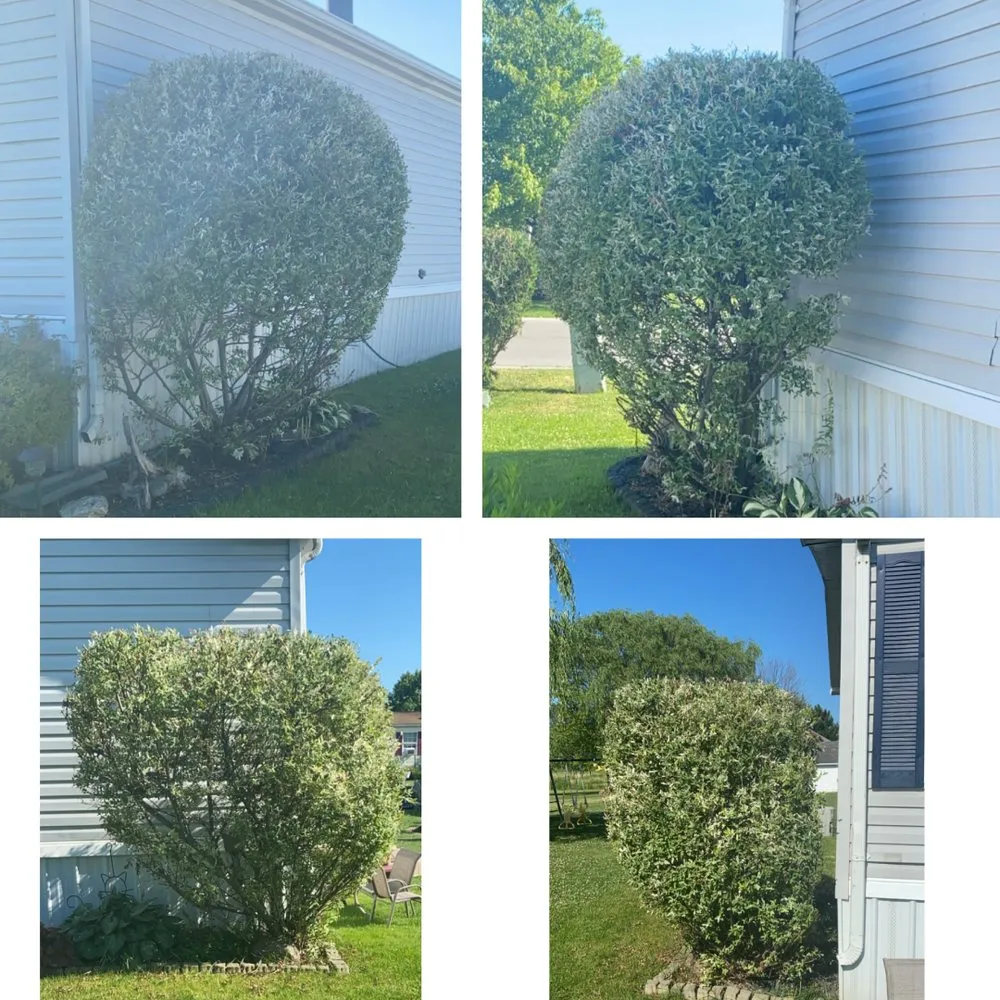 Reliable lawn care service near you across Buffalo, NY - Yard Works Lawncare & Landscaping