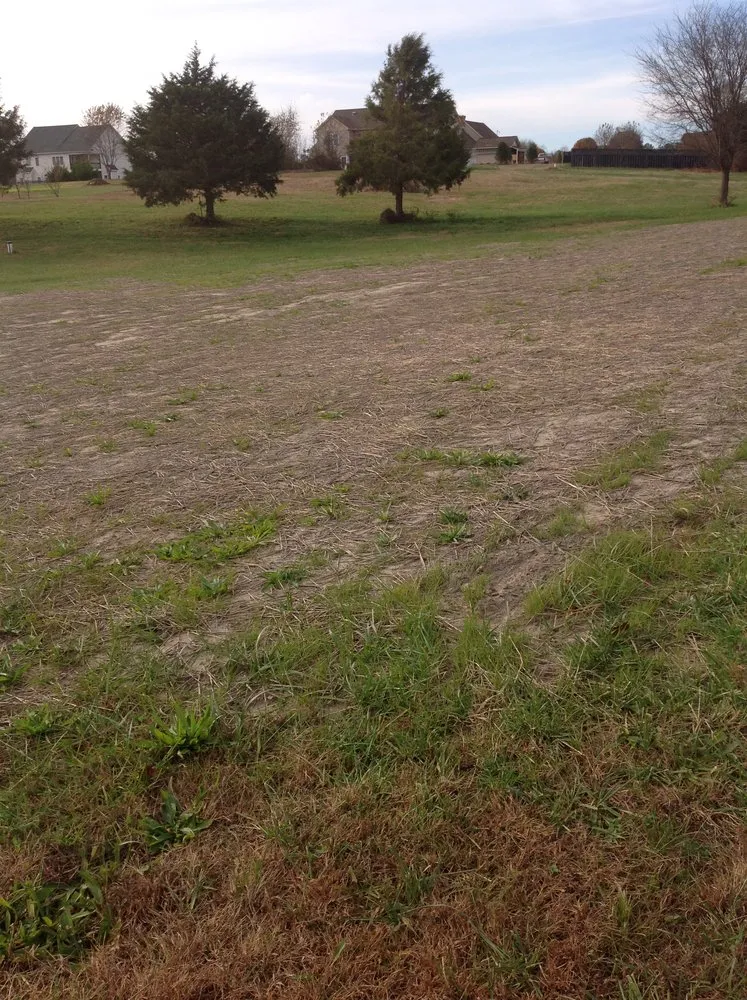 Custom yard cleanup service experts serving Moseley, VA - Yard Works