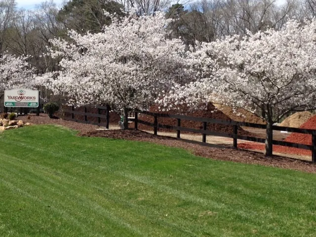 Local yard maintenance in Moseley, VA - Yard Works
