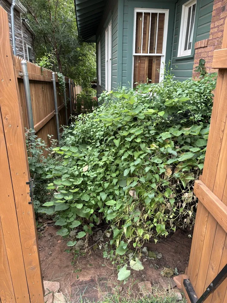 Professional garden landscaping for beautiful yards in Guthrie, OK by Yard Worx and Materials