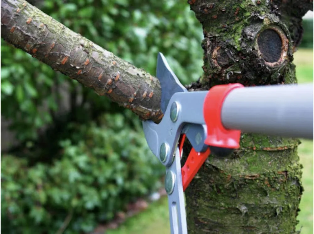 Trusted landscaping services for homes across Springfield, OH - Yard Worx