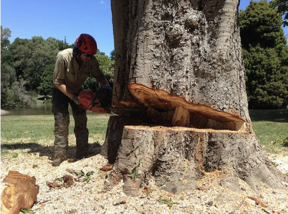 Reliable residential landscaping experts serving Springfield, OH - Yard Worx