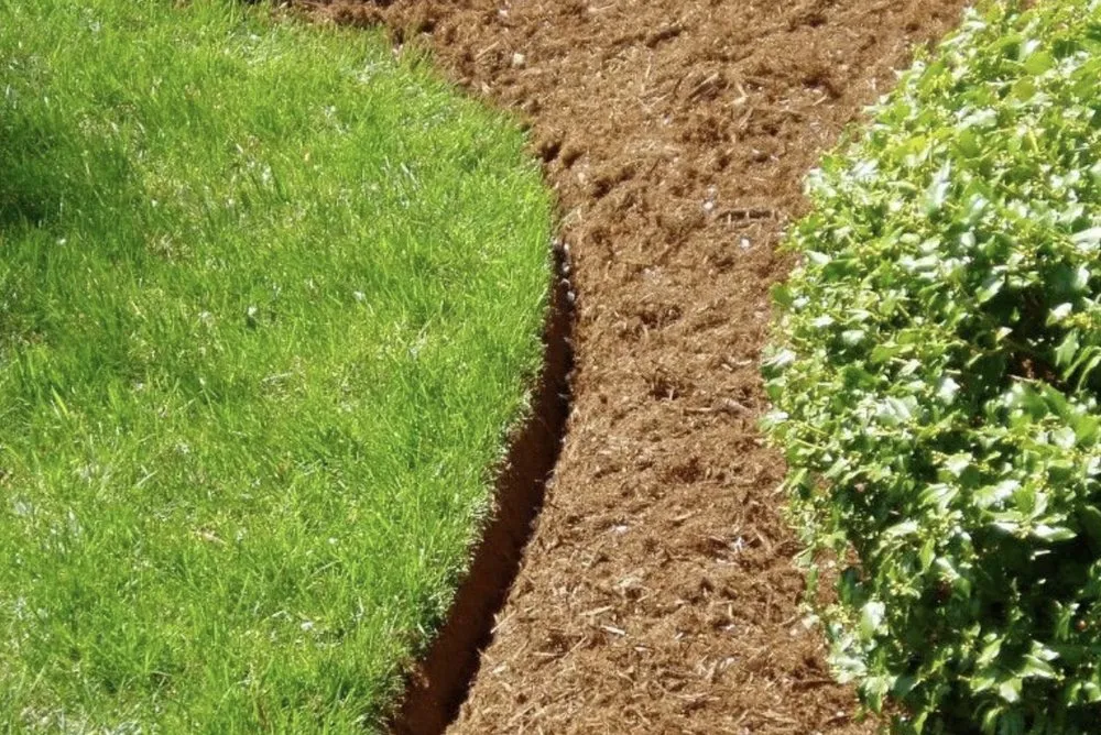 Professional landscape installation for residential properties across Tyler, TX - Yard Worx