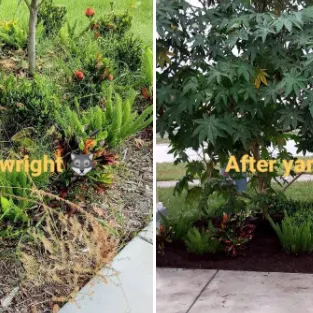 Reliable yard cleanup service in Kenneth City, FL by Yard Wright Lawn and Landscaping