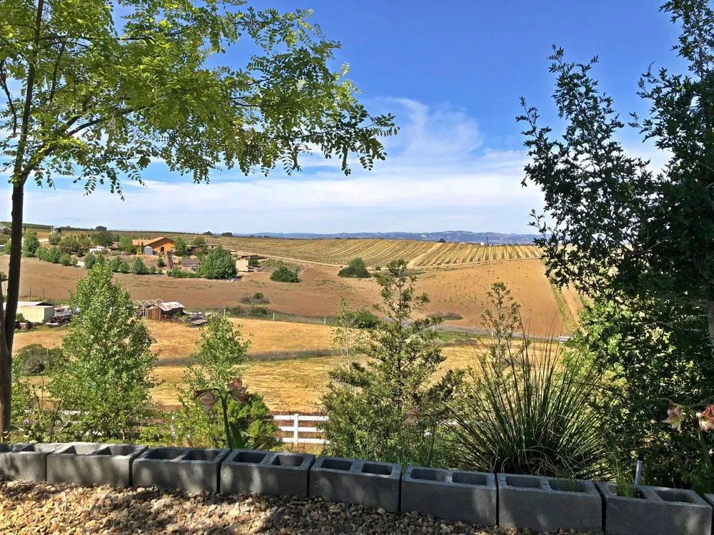 Reliable yard maintenance experts serving Paso Robles, CA - Yard Wurk McGurk