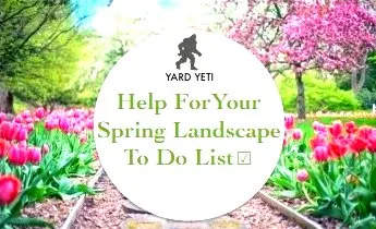 Top-rated yard maintenance in Dickson, TN - Yard Yeti