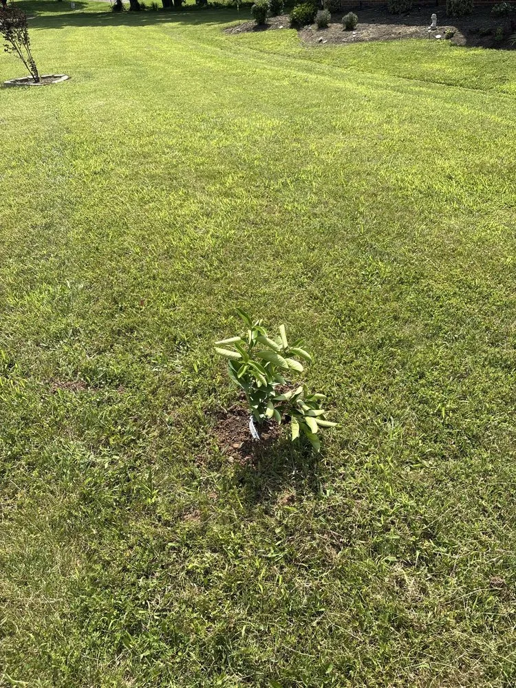 Professional landscaping services experts serving Nashville, TN - Yard Yeti