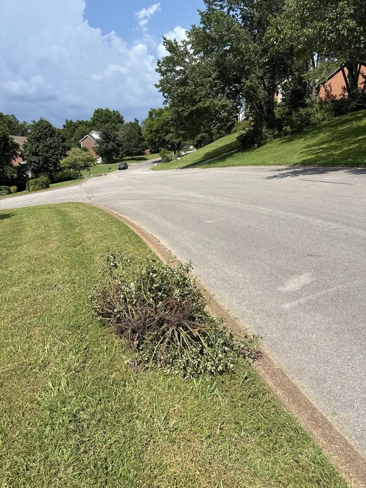 Custom yard maintenance near you across Nashville, TN - Yard Yeti