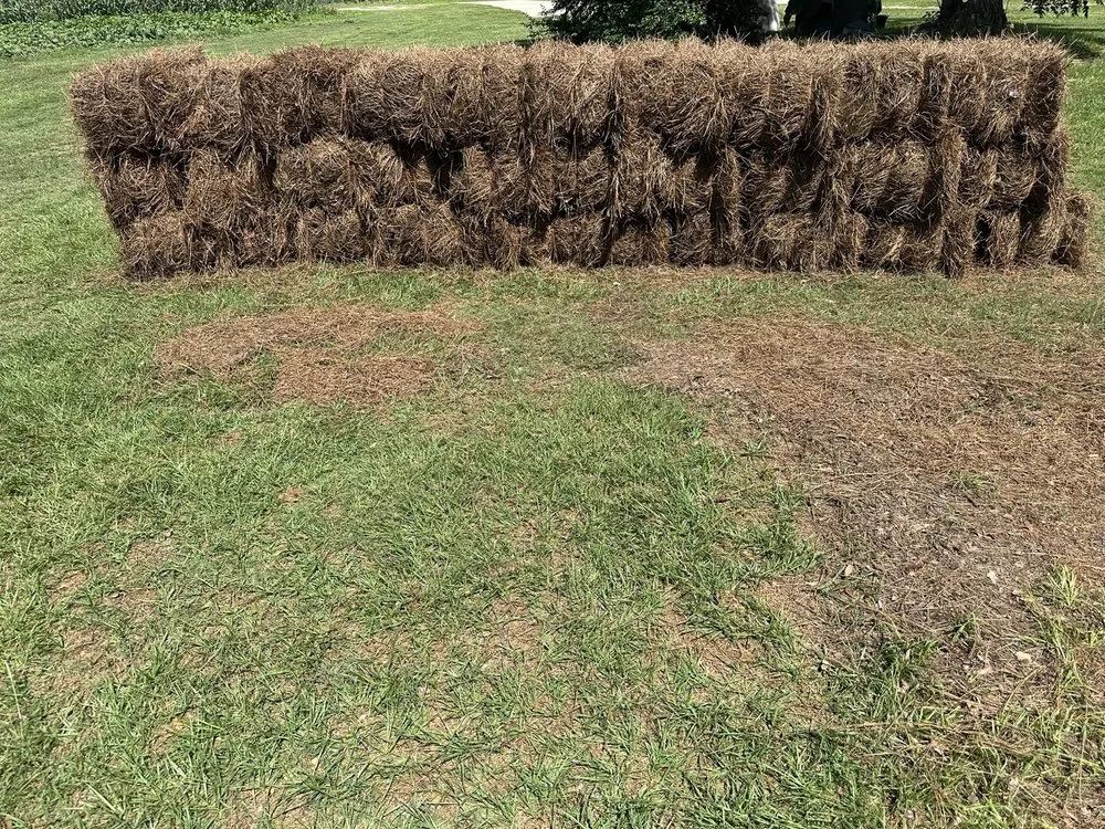 Expert lawn mowing service in Aiken, SC by Yard2Yard Landscaping