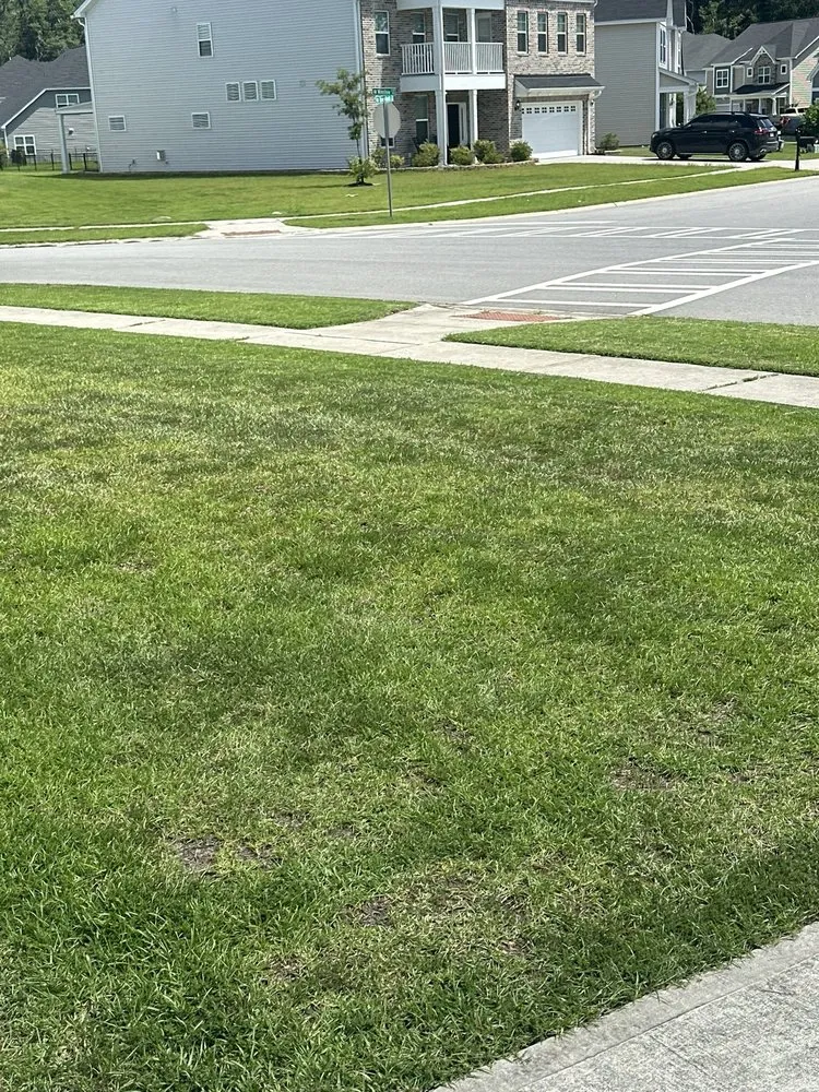 Local yard maintenance in Aiken, SC - Yard2Yard Landscaping