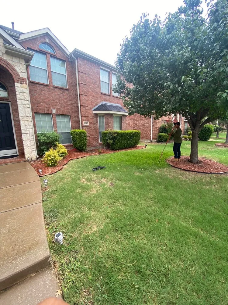 Affordable lawn mowing service in Lewisville, TX - YardaBella