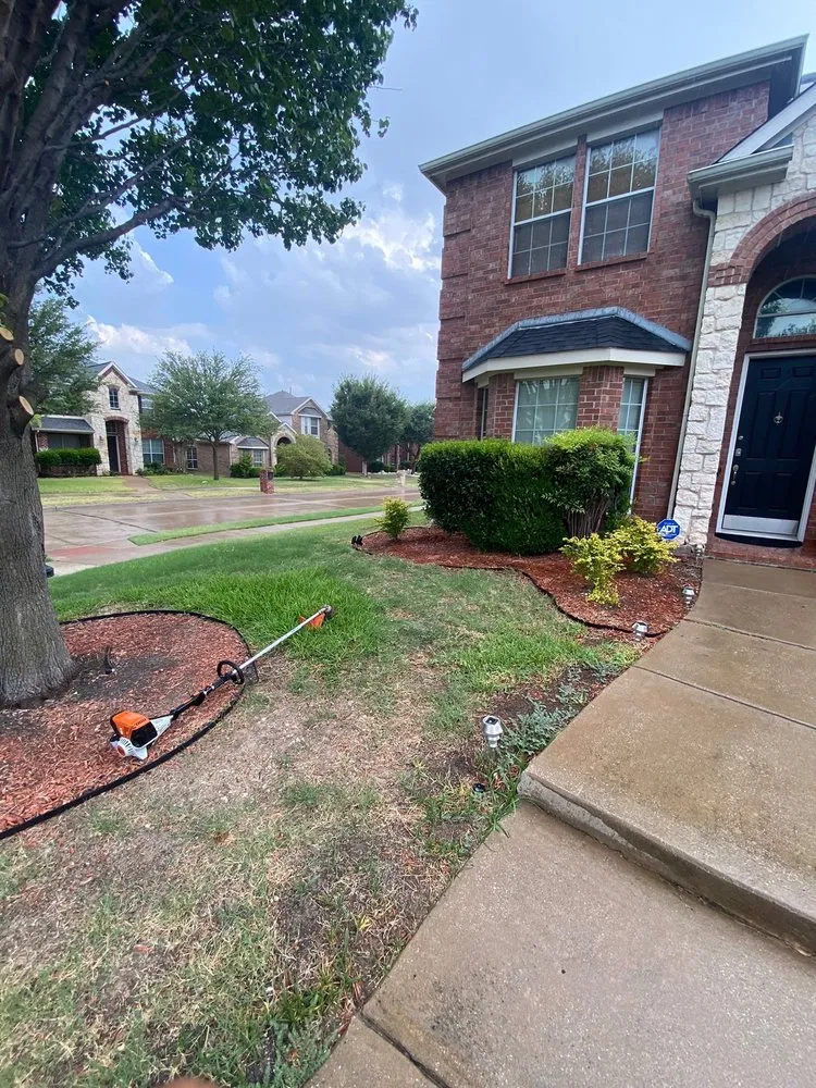 Reliable yard cleanup service in Lewisville, TX by YardaBella