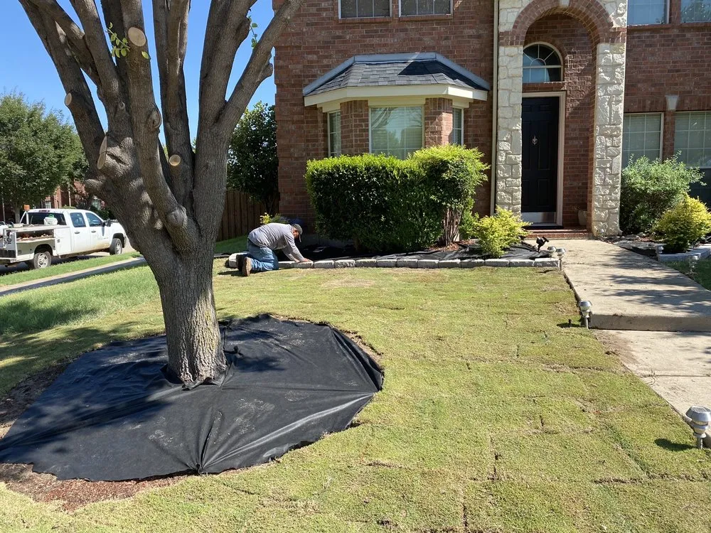Top-rated lawn care service for year-round maintenance in Lewisville, TX by YardaBella