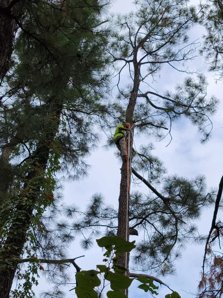 Professional garden landscaping in Lewisville, TX by YardaBella