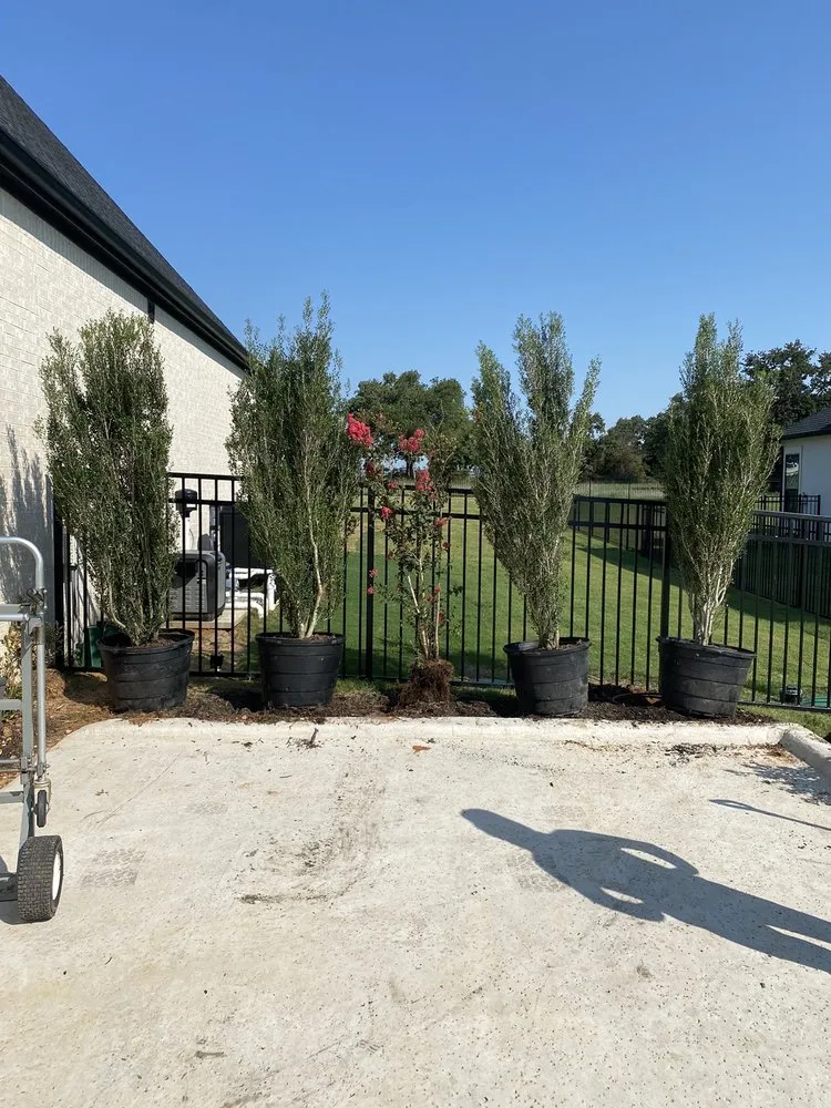 Expert yard maintenance experts serving Lewisville, TX - YardaBella