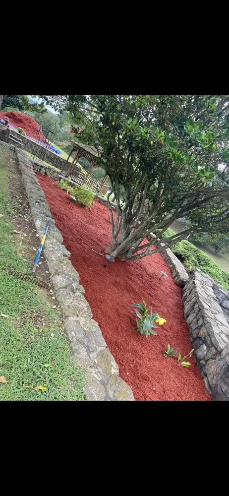 Top-rated yard cleanup service in Tishomingo, MS - YardBarber Lawncare & Landscape