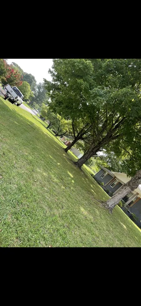 Affordable yard cleanup service for outdoor upgrades across Tishomingo, MS - YardBarber Lawncare & Landscape