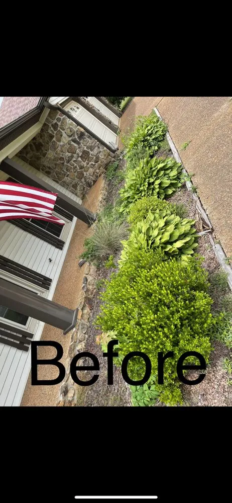 Top-rated landscaping services in Tishomingo, MS by YardBarber Lawncare & Landscape