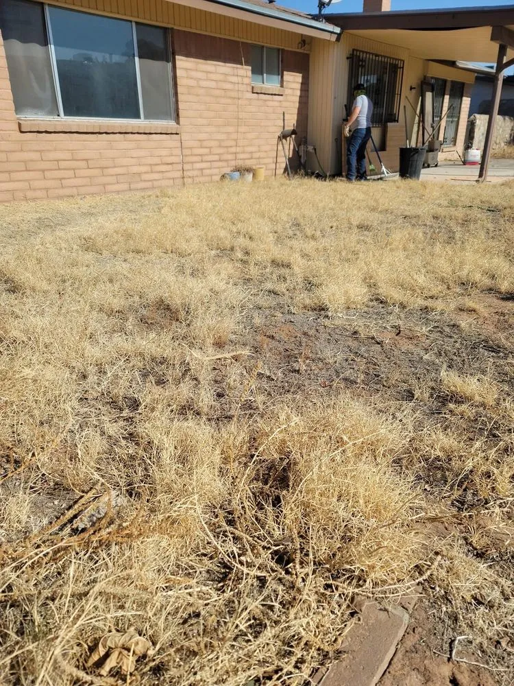 Professional yard maintenance for homes in El Paso, TX by Yardbirds
