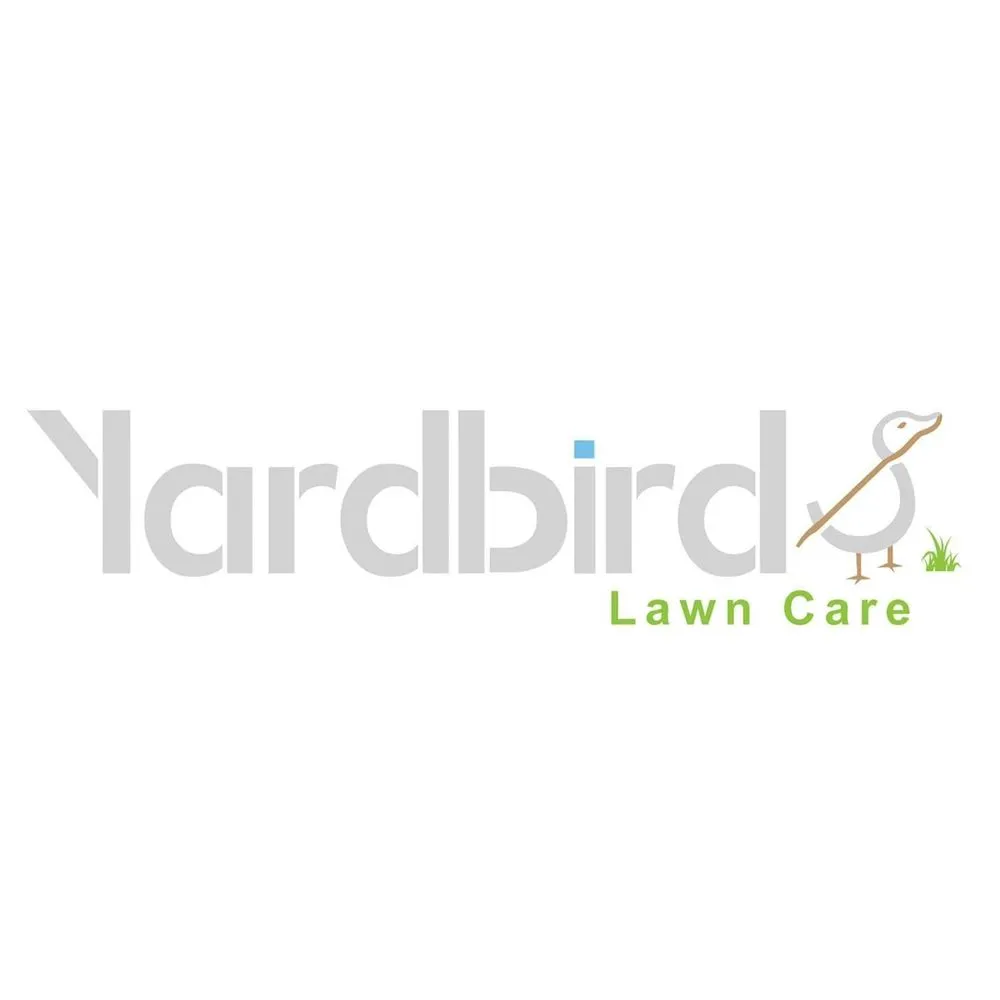 Affordable outdoor landscaping for residential properties across El Paso, TX - Yardbirds