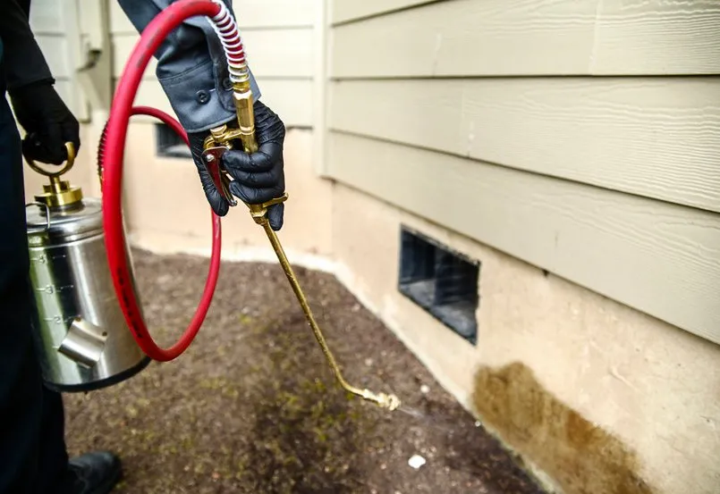 Trusted landscaping services experts serving Norman, OK - Yardbirds