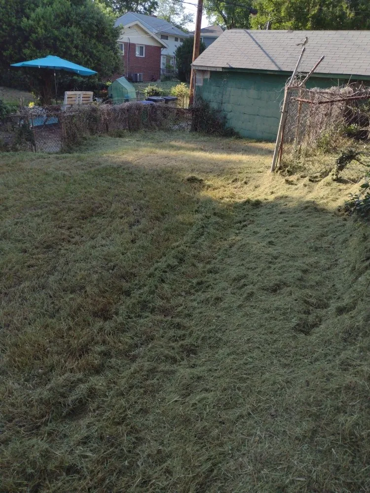 Local residential landscaping in Richmond, VA - YardBirds Property Maintenance