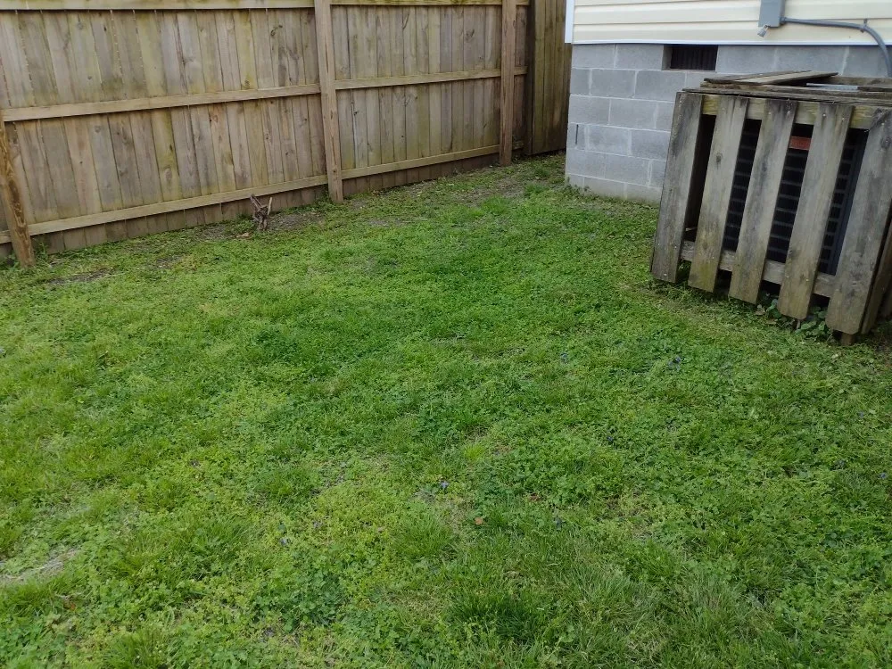 Trusted yard maintenance experts serving Richmond, VA - YardBirds Property Maintenance