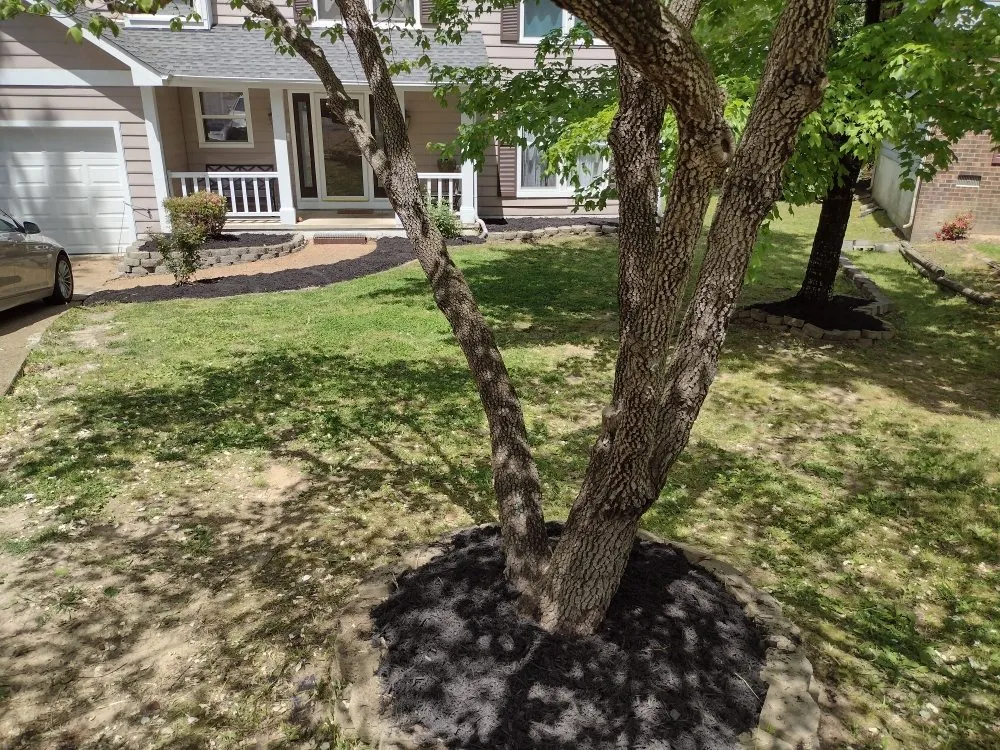 Trusted residential landscaping for year-round maintenance in Richmond, VA by YardBirds Property Maintenance