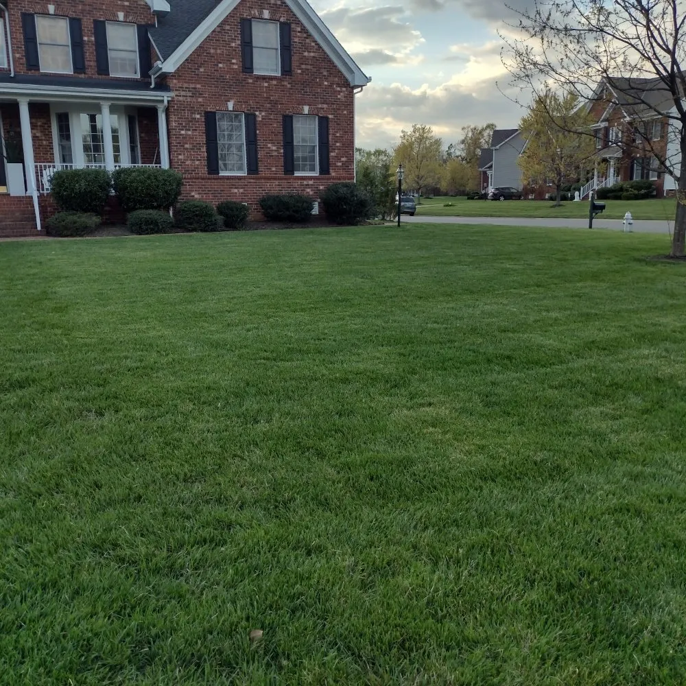 Professional residential landscaping in Richmond, VA by YardBirds Property Maintenance