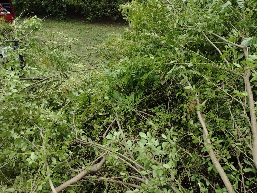 Professional lawn mowing service in Richmond, VA - YardBirds Property Maintenance