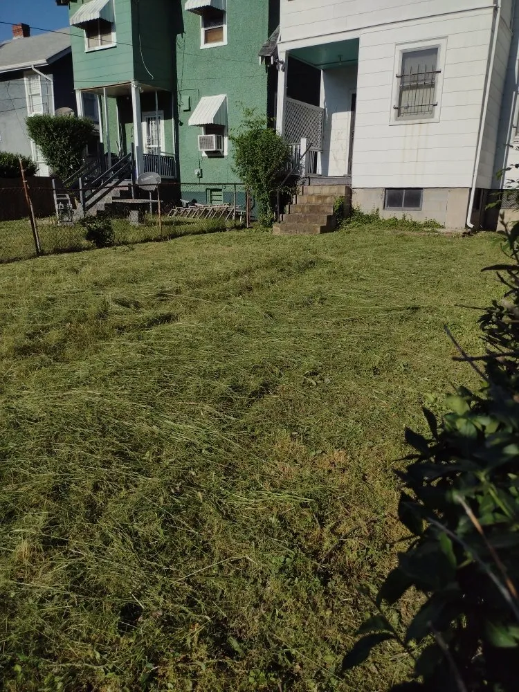 Custom lawn care service in Richmond, VA - YardBirds Property Maintenance