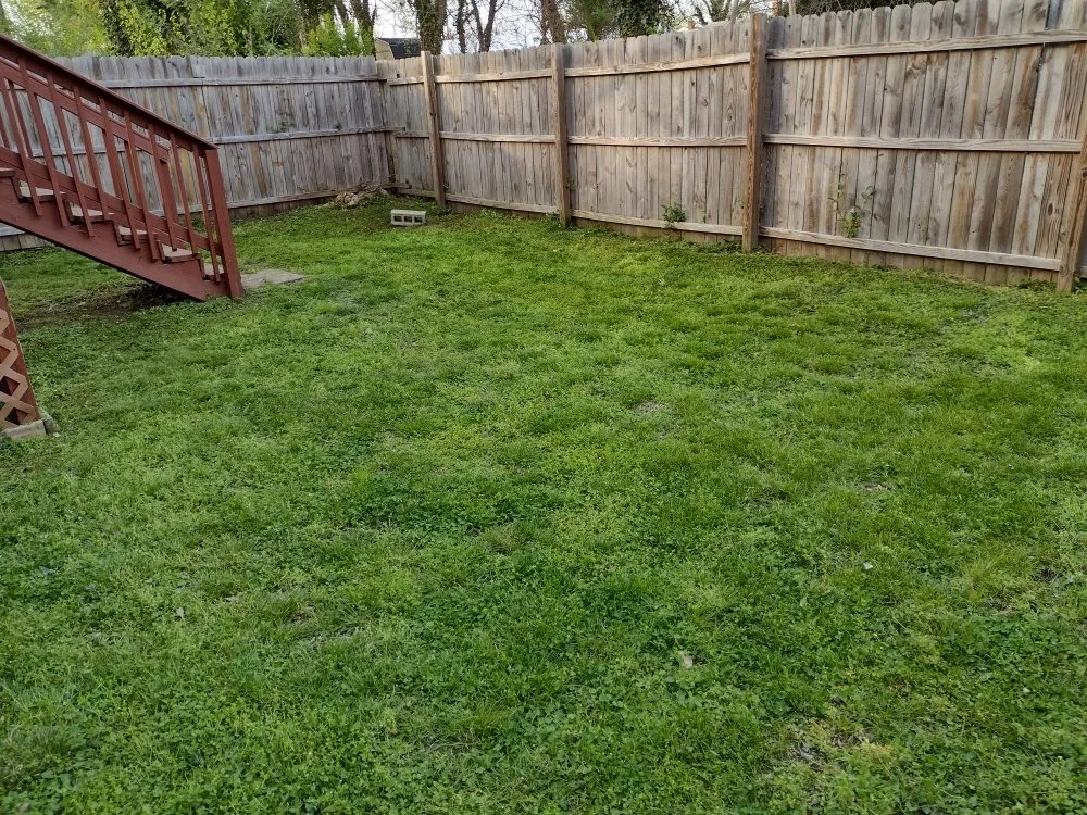 Local landscaping services in Richmond, VA by YardBirds Property Maintenance