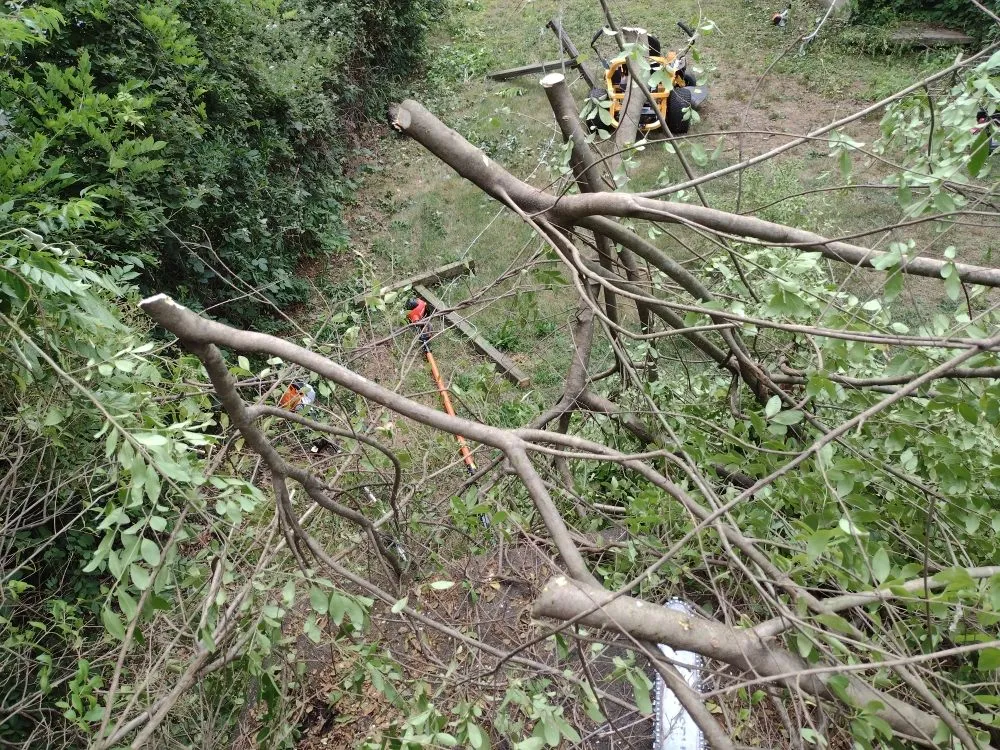 Professional lawn care service for outdoor upgrades across Richmond, VA - YardBirds Property Maintenance