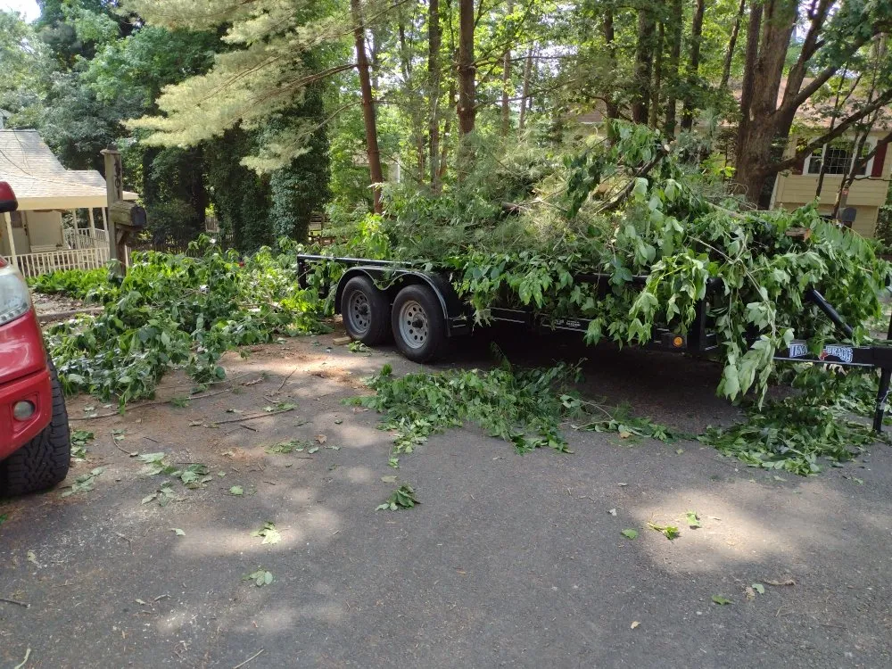 Professional landscape design in Richmond, VA by YardBirds Property Maintenance