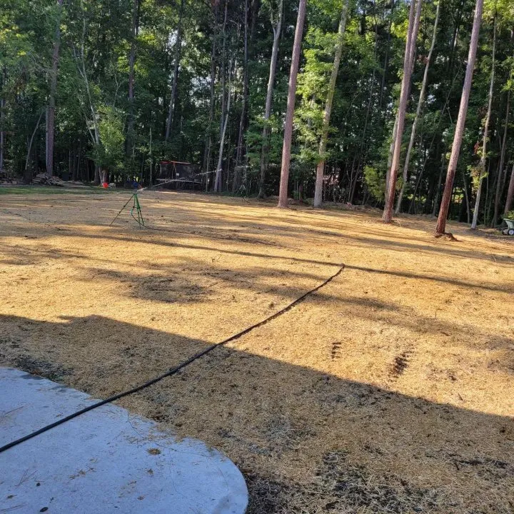 Expert yard maintenance experts serving Mocksville, NC - YardBound Landscapes & Design