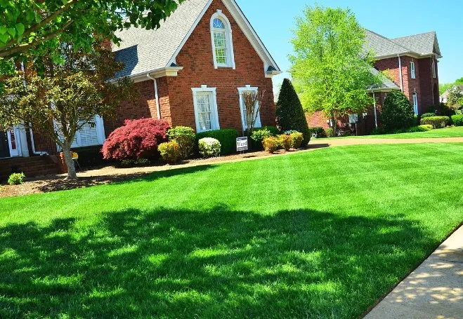 Reliable yard maintenance experts serving Beaumont, TX - Yardboy Lawncare Service