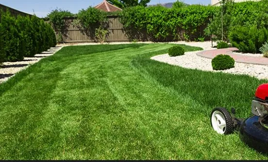 Professional residential landscaping experts serving Beaumont, TX - Yardboy Lawncare Service