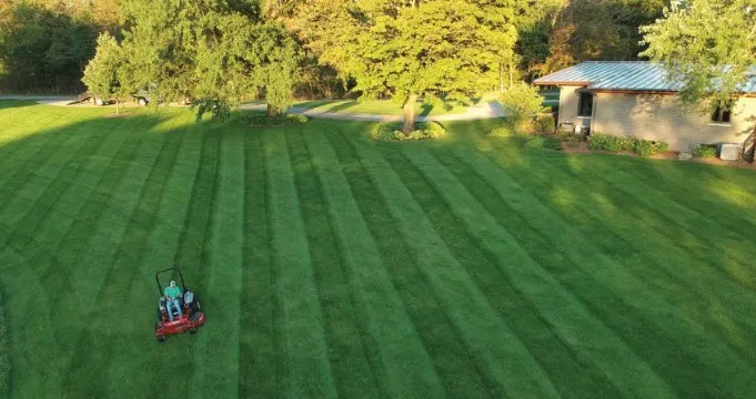 Reliable yard cleanup service in Beaumont, TX by Yardboy Lawncare Service