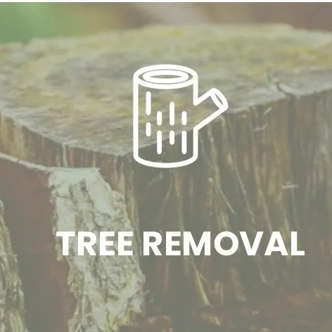 Top-rated landscape installation for homes across Beaumont, TX - Yardboy Lawncare Service