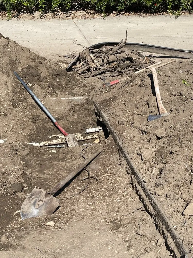 Professional lawn care service in Santa Susana, CA by Yardbros