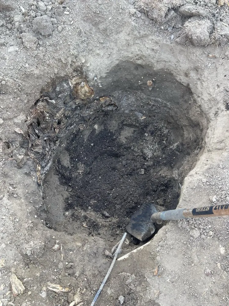 Professional landscape design experts serving Santa Susana, CA - Yardbros