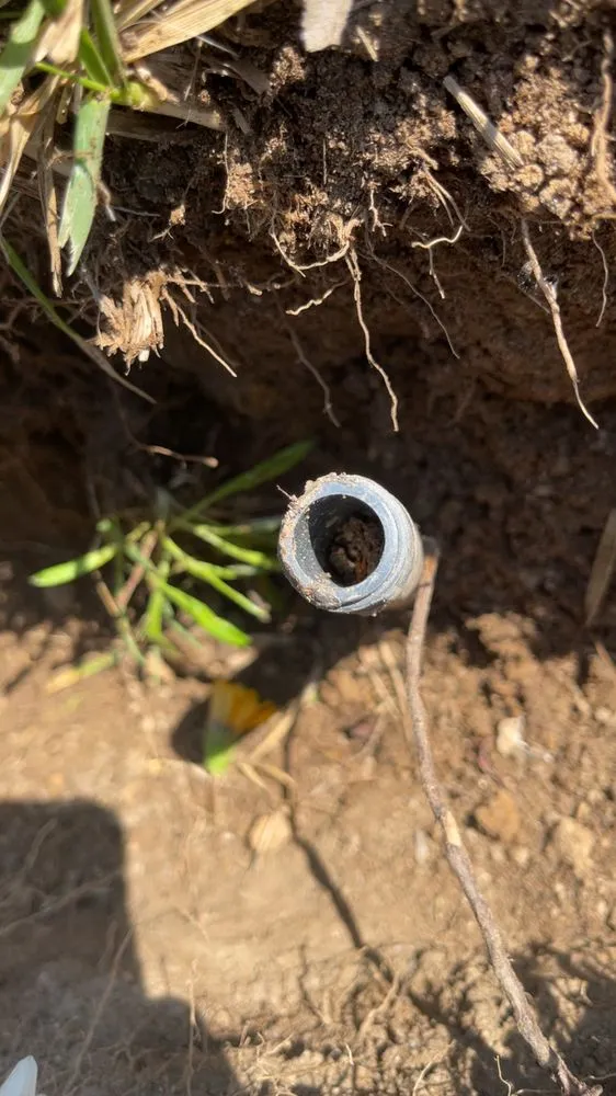 Professional outdoor landscaping experts serving Santa Susana, CA - Yardbros