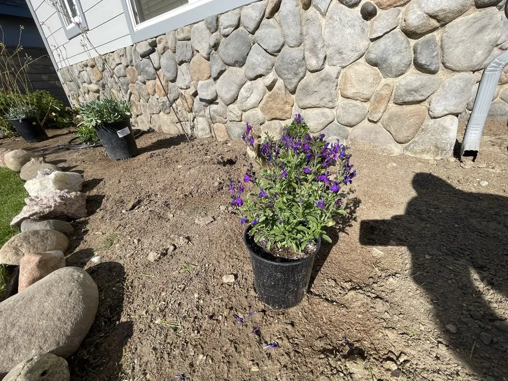 Expert garden landscaping for beautiful yards in Santa Susana, CA by Yardbros