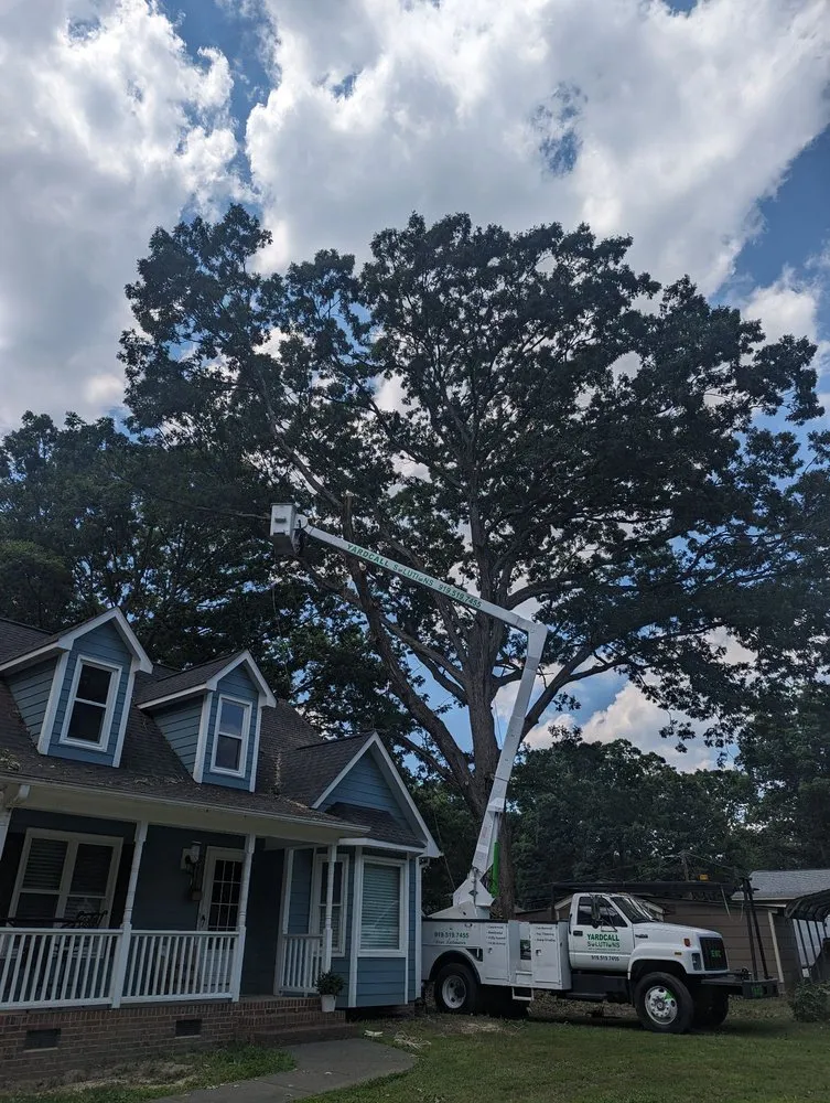 Expert outdoor landscaping for homes in Durham, NC by Yardcall Solutions Tree & Landscaping Services